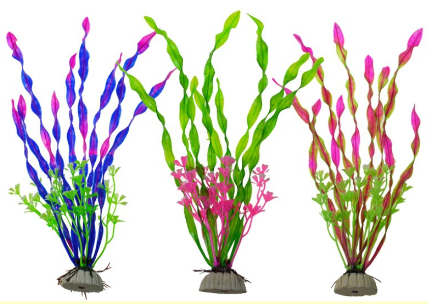 Fargerikt sjøgress - pynt til akvarium