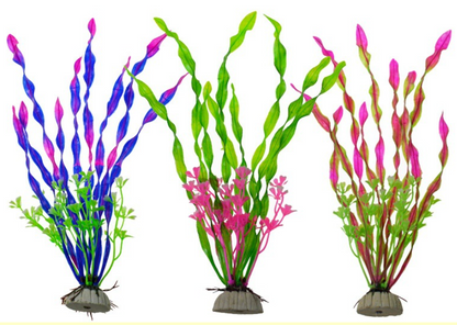 Fargerikt sjøgress - pynt til akvarium