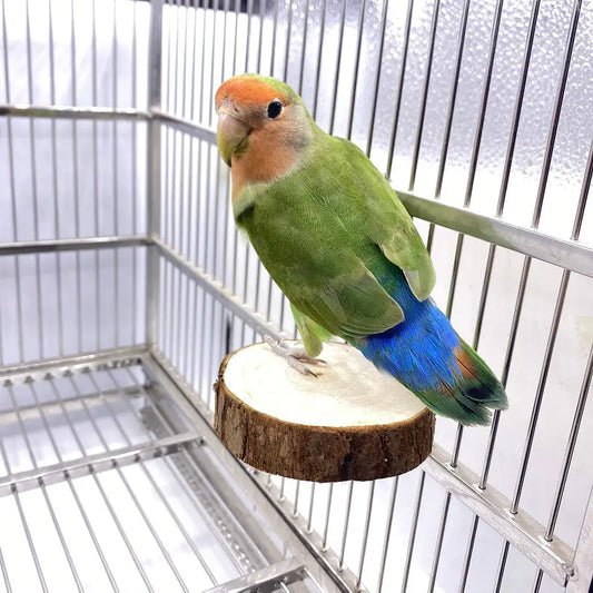 Svevende stubbe - til fuglebur