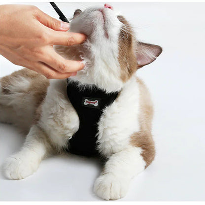 Kattesele med Leiebånd