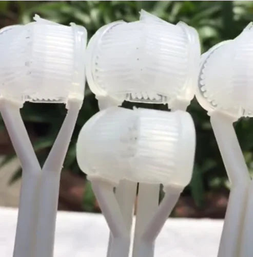 Trehodet tannbørste