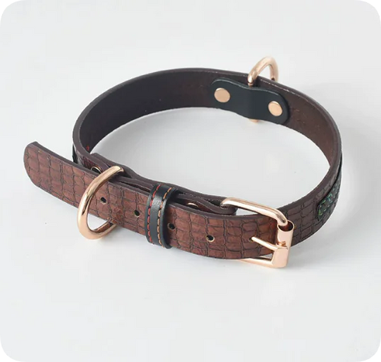 Hundebånd og Halsbånd i Skinn