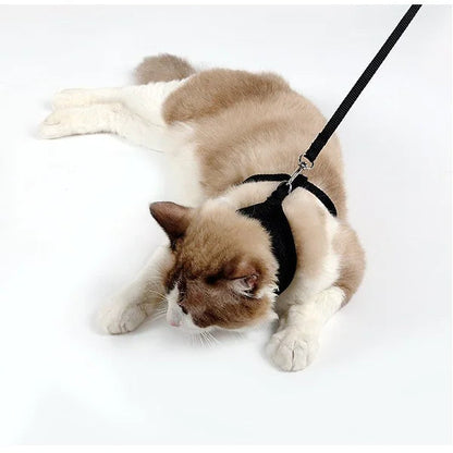 Kattesele med Leiebånd